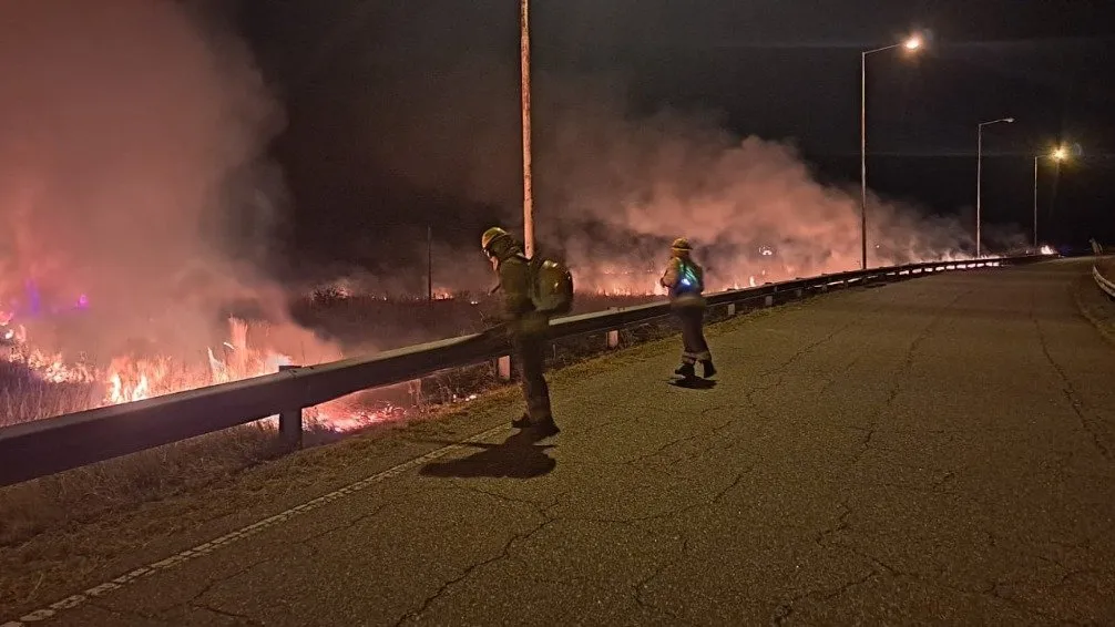 Incendios intencionales de pasto en la rotonda requirieron el trabajo de Bomberos Voluntarios